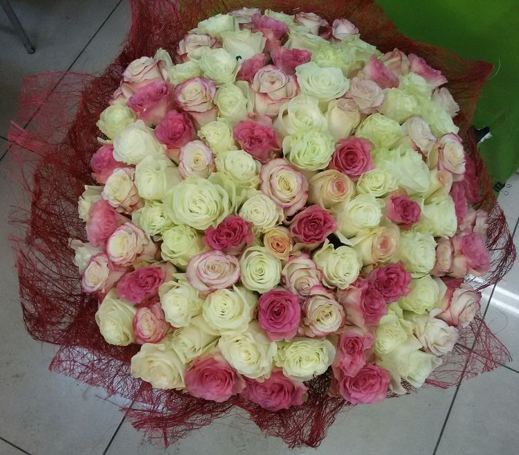 Букет 101 роза ,Эквадор, 60см